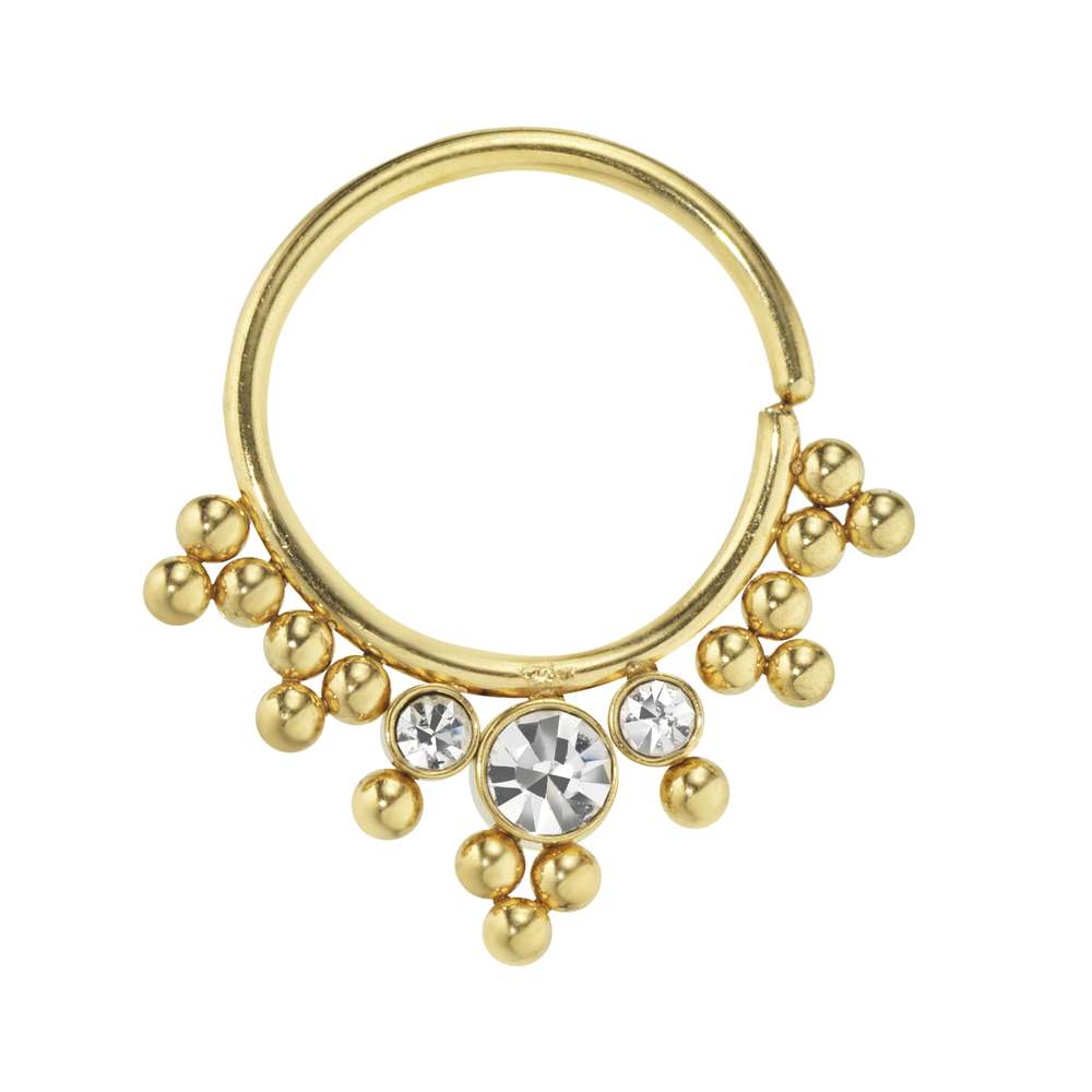 Chirurgenstahl-Septumpiercing