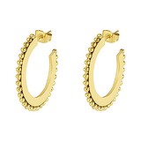 Earrings Stainless Steel PVD-coating (gold color)