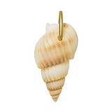 Stainless steel pendant Stainless Steel PVD-coating (gold color) Sea shell