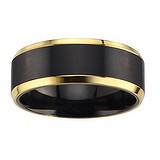 Titan Ring Titanium PVD laag (zwart) PVD laag (goudkleurig)