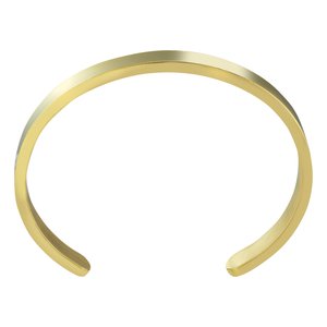 Armband Staal PVD laag (goudkleurig)