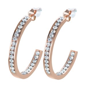 Earrings Surgical Steel 316L Crystal PVD-coating (gold color) PVC