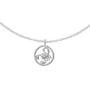 Neck jewelry Silver 925 Star_sign Horoscope Scorpion