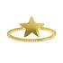 Edelstahlring Edelstahl PVD Beschichtung (goldfarbig) Spirale Stern