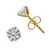 Earrings Surgical Steel 316L Crystal PVD-coating (gold color)