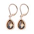 Dangle earrings Surgical Steel 316L Crystal PVD-coating (gold color)