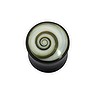 Plug Buffalo Horn Conchiglia Shiva eye Spirale