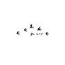 Fake-Tattoo Auf Papier gedruckte Farbe Hautverträglicher Klebstoff Adler Vogel Storch Buchstabe Zahl Ziffer